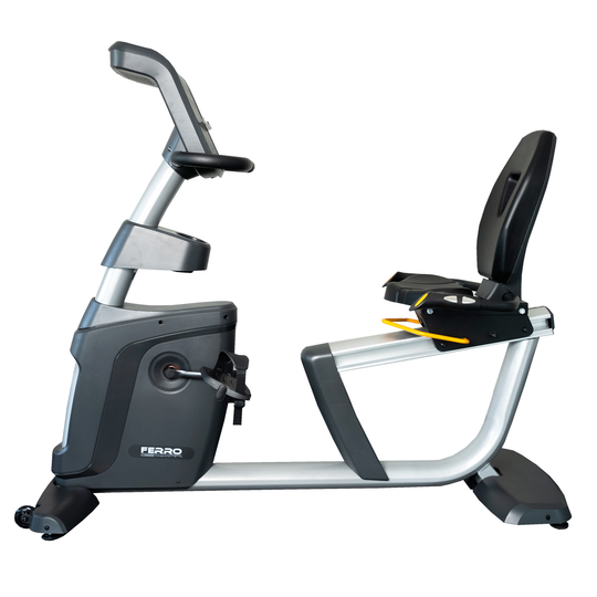 FERRO RECUMBENT BIKE